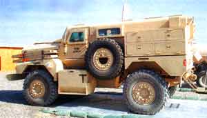 Cougar JERRV