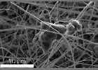 Riley Solutions  DARPA    