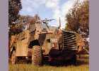   Bushmaster   