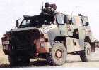 Bushmaster      TAPV