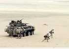 General Dynamics  24        