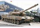      Leopard   