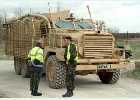      37 Mastiff