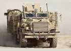      102   Mastiff