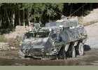    Patria