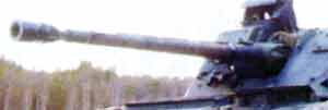 Bushmaster III 35