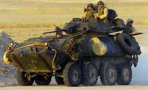 Bushmaster M242